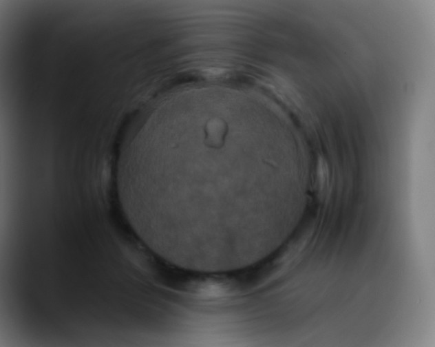 X0000089730412200707121452