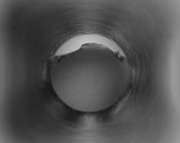 X0000089730416200707121452