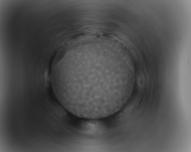 X0000089730420200707121452