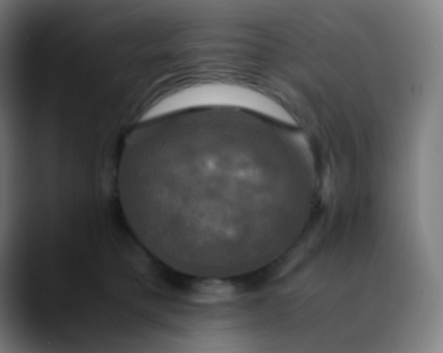 X0000089730421200707121452