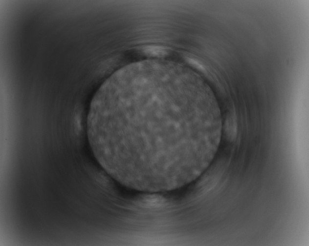 X0000089730424200707121452