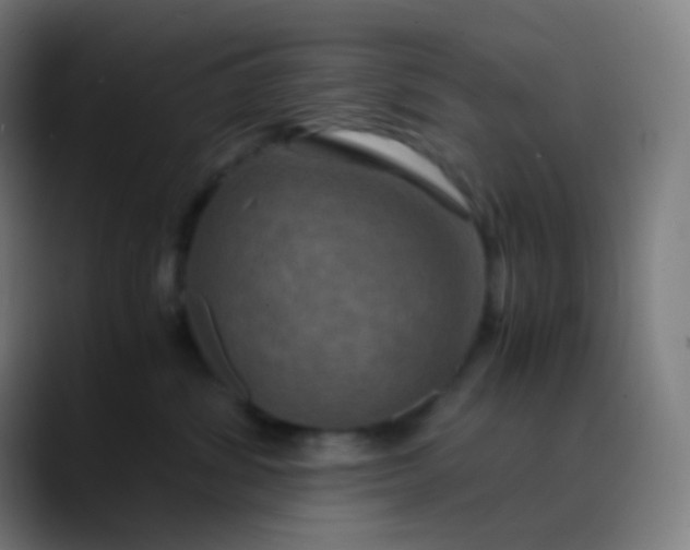 X0000089730428200707121452