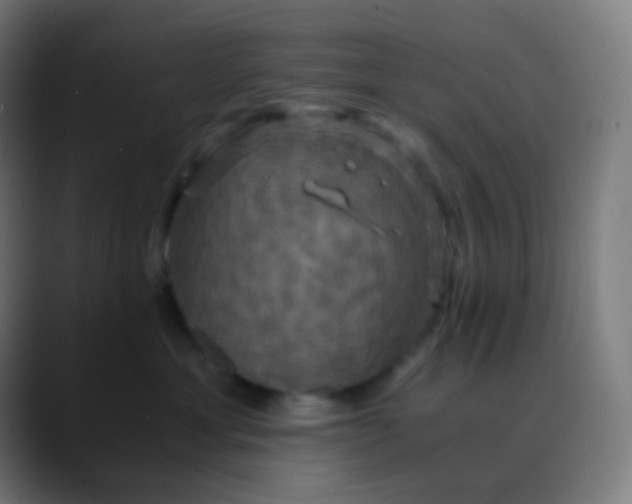 X0000089730429200707121452