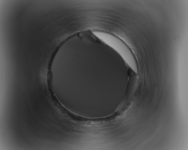 X0000089730434200707121452