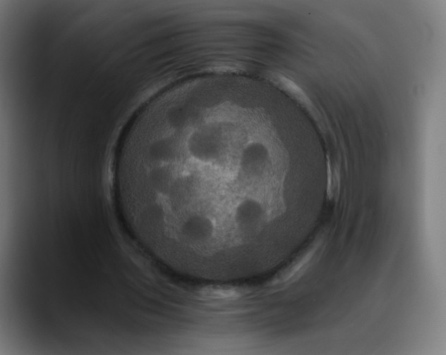 X0000089730435200707121452
