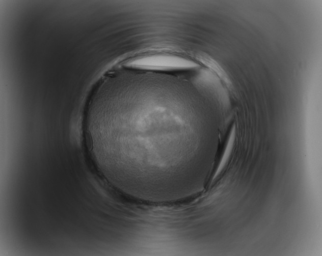 X0000089730436200707121452