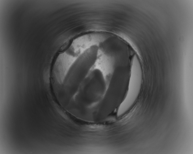 X0000089730437200707121452