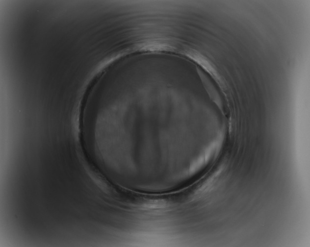 X0000089730438200707121452
