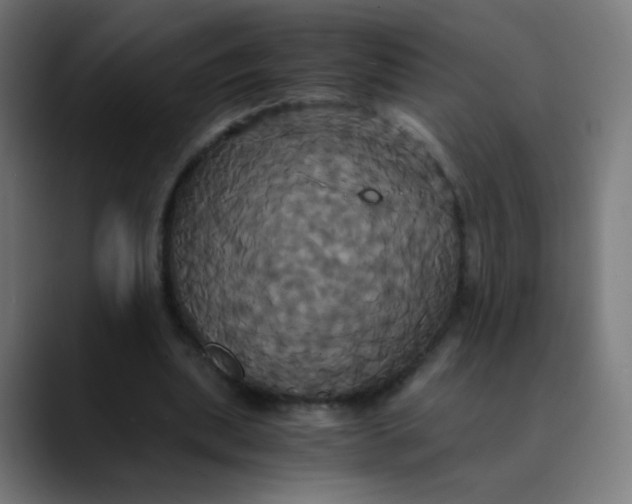 X0000089730439200707121452