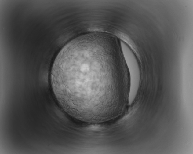X0000089730441200707121452