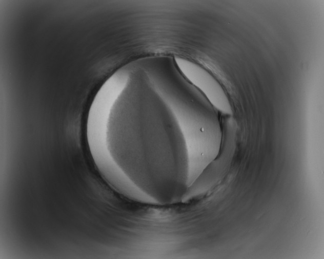 X0000089730442200707121452
