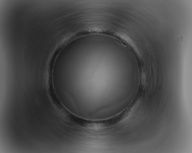 X0000089730444200707121452