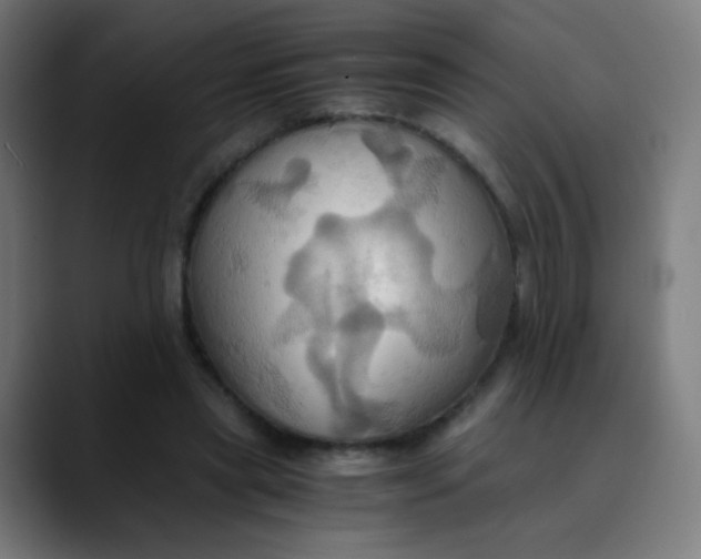 X0000089730445200707121452