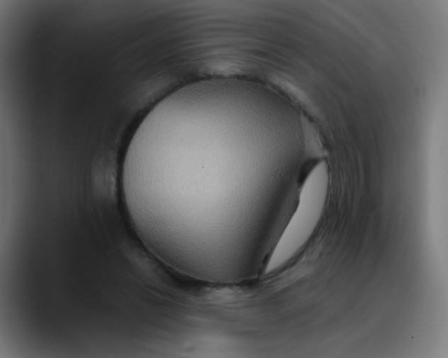 X0000089730446200707121452