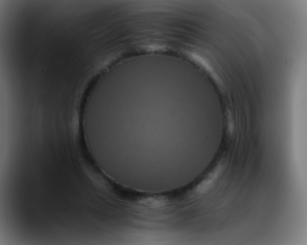 X0000089730447200707121452