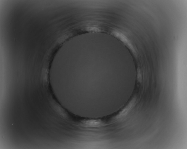 X0000089730449200707121452