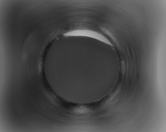 X0000089730451200707121452