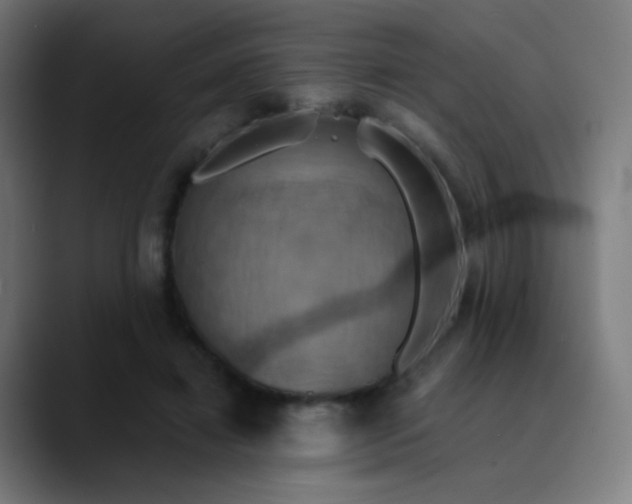 X0000089730452200707121452