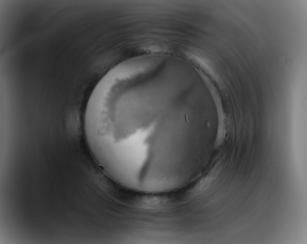 X0000089730453200707121452