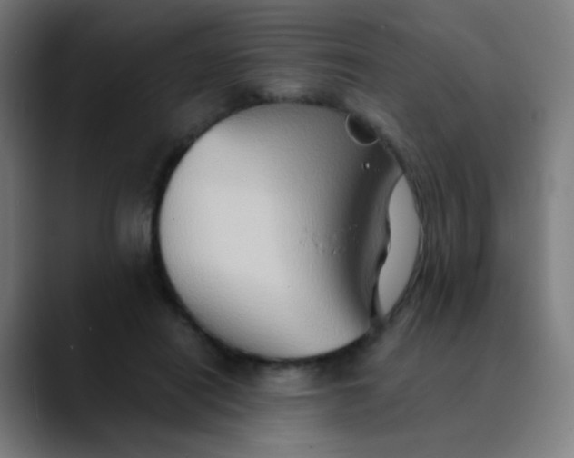 X0000089730454200707121452