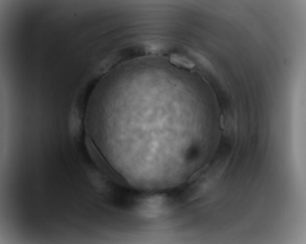 X0000089730456200707121452