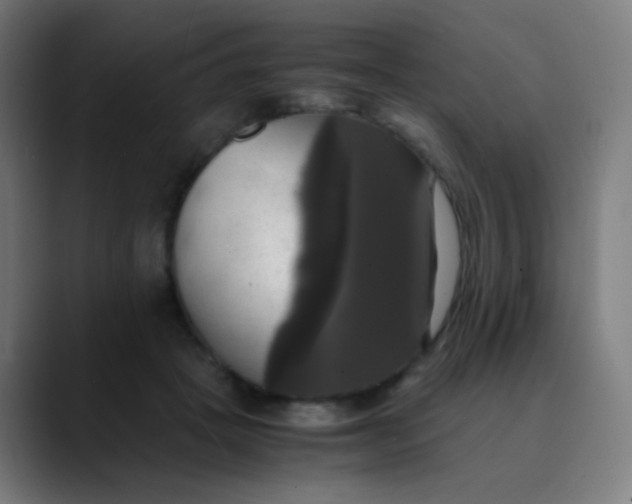 X0000089730457200707121452