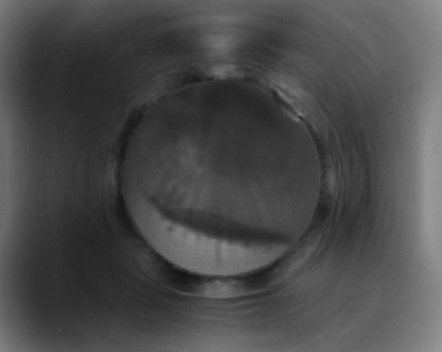 X0000089730461200707121452