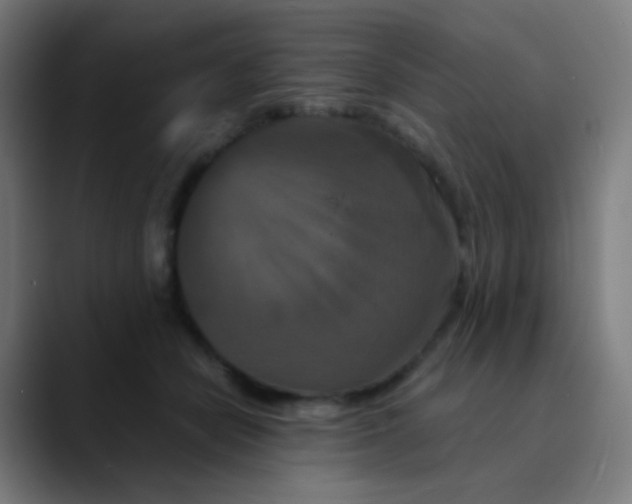 X0000089730462200707121452