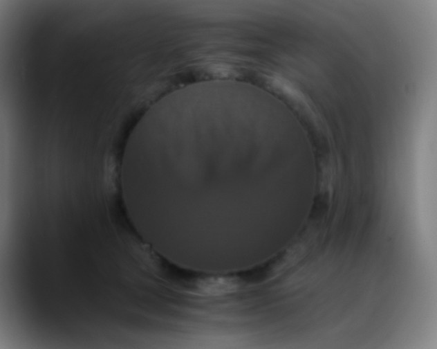 X0000089730465200707121452