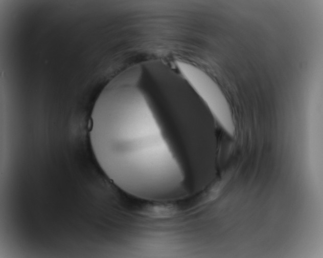 X0000089730466200707121452