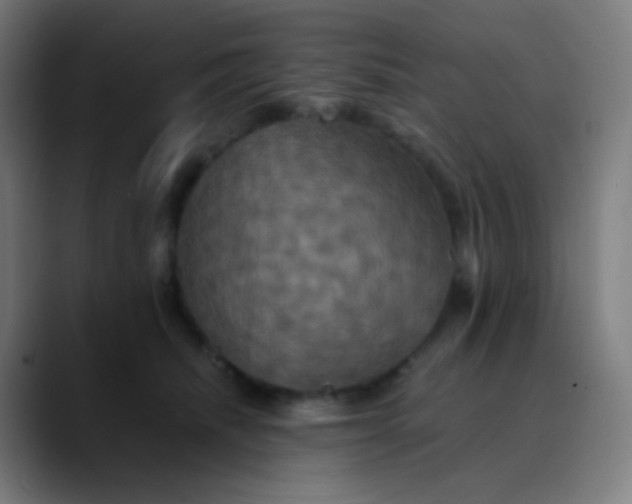 X0000089730468200707121452