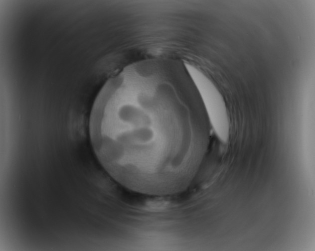 X0000089730470200707121452