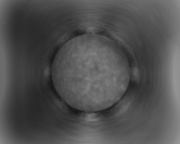 X0000089730472200707121452