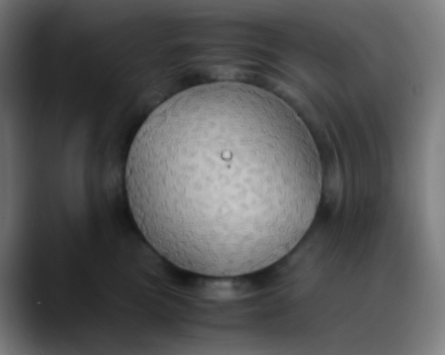 X0000089730473200707121452