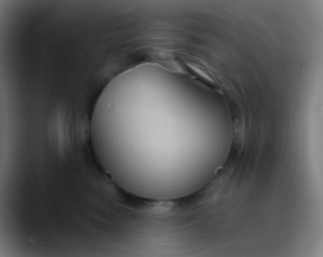X0000089730474200707121452