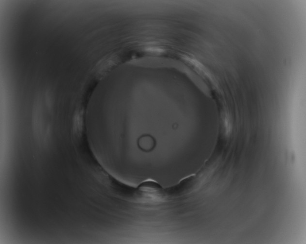 X0000089730475200707121452
