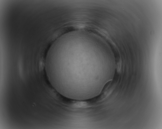 X0000089730476200707121452