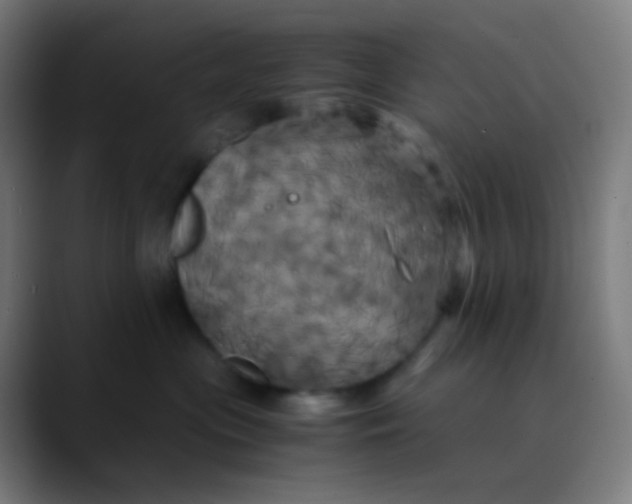 X0000089730477200707121452