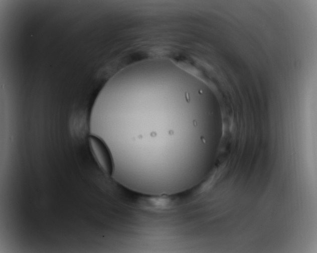 X0000089730478200707121452