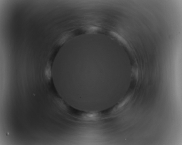 X0000089730479200707121452