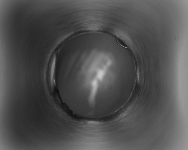 X0000089730483200707121452