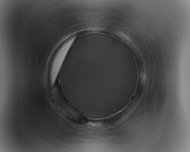 X0000089730484200707121452