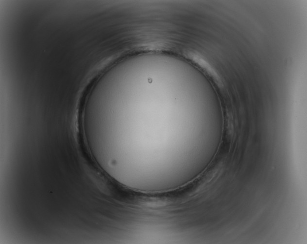 X0000089730486200707121452