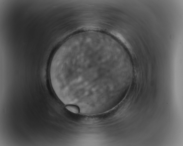 X0000089730487200707121452
