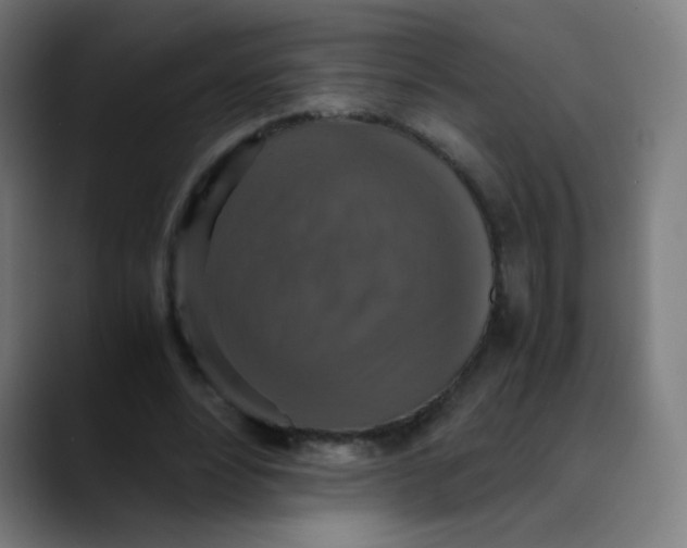 X0000089730488200707121452