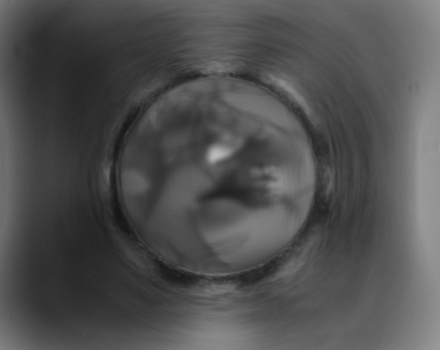 X0000089730491200707121452