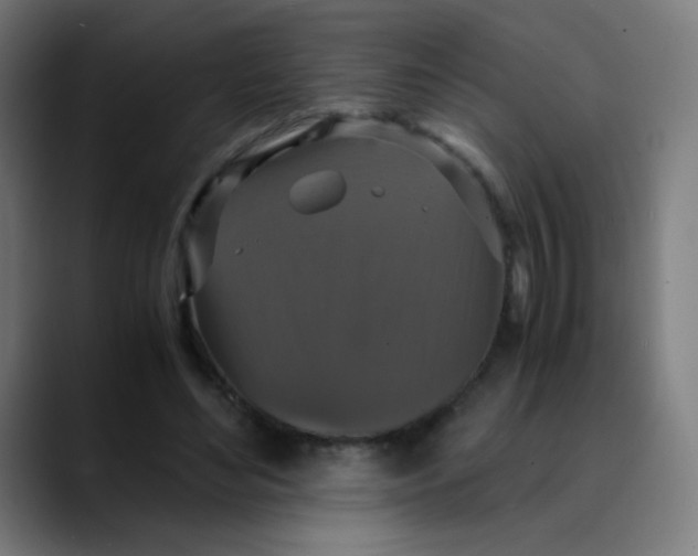 X0000089730492200707121452