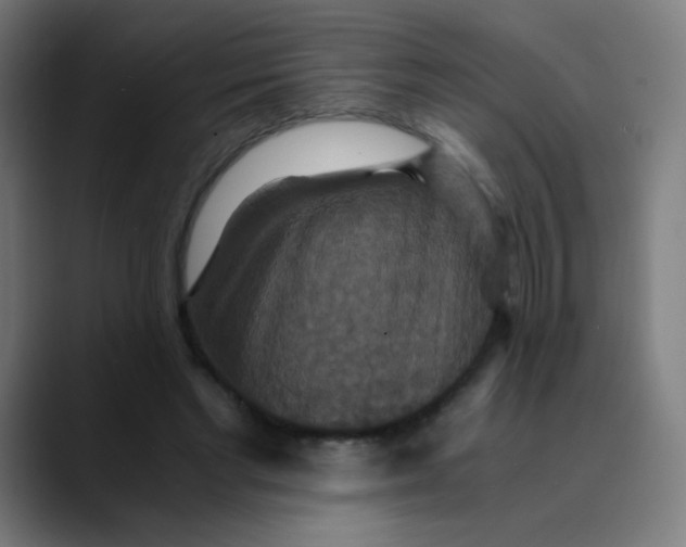X0000089730493200707121452