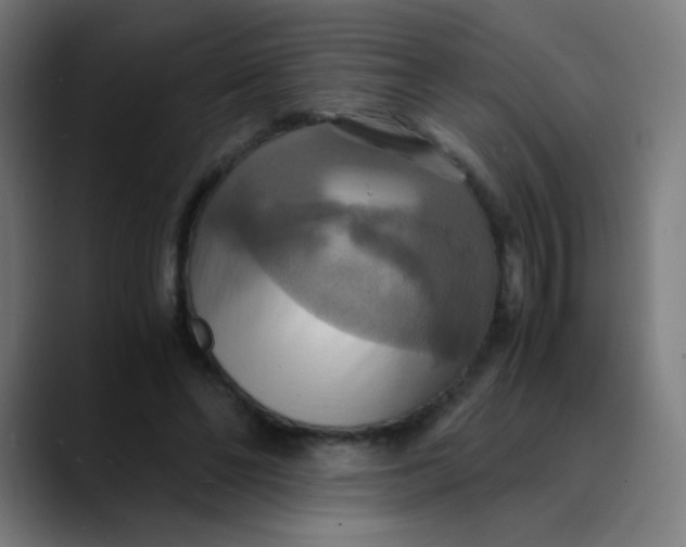 X0000089730494200707121452