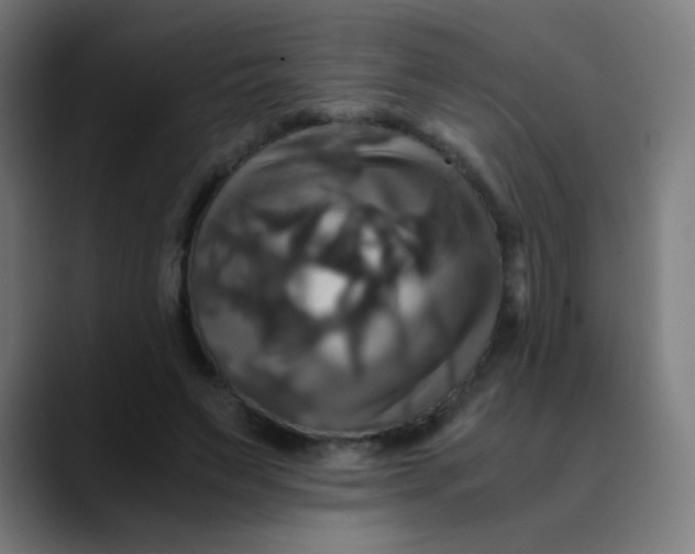 X0000089730495200707121452